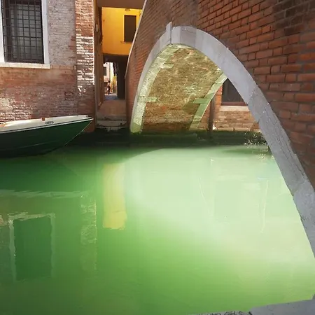 The Secret Garden In The Very Heart Of Appartamento